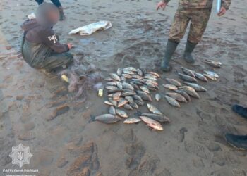 На Черкащині чоловік наловив сіткою риби на понад 100 тисяч гривень 