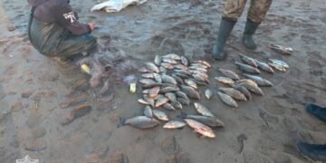 На Черкащині чоловік наловив сіткою риби на понад 100 тисяч гривень 