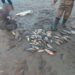 На Черкащині чоловік наловив сіткою риби на понад 100 тисяч гривень 