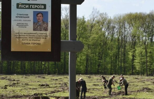 На Черкащині на честь полеглого воїна-лісівника висадили ліс