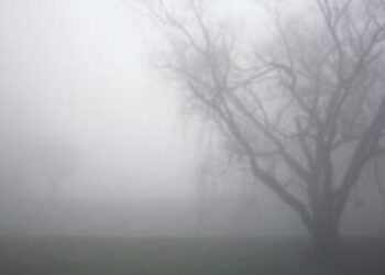 На Черкащині прогнозують погіршення видимості на дорогах