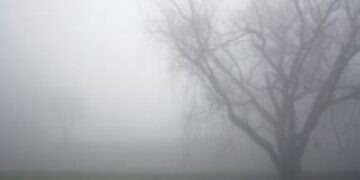 На Черкащині прогнозують погіршення видимості на дорогах