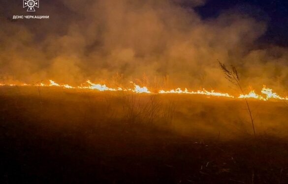 На Черкащині сталося майже 30 пожеж