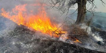 На Черкащині виникло 40 пожеж