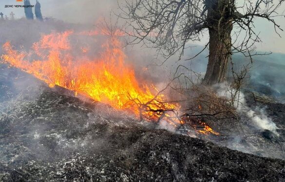 На Черкащині виникло 40 пожеж