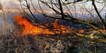 На Черкащині за добу сталося більше 20 пожеж