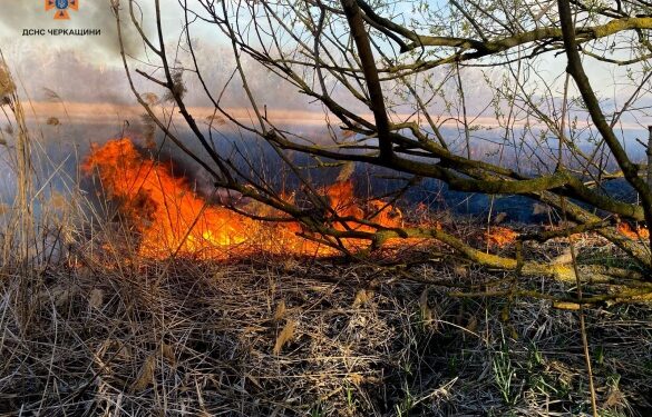 На Черкащині за добу сталося більше 20 пожеж