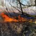 На Черкащині за добу сталося більше 20 пожеж