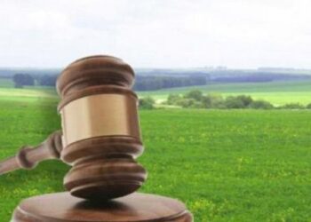 На Львівщині посадовця судитимуть за незаконну приватизацію землі вартістю 1,3 млн грн – RegioNews.ua