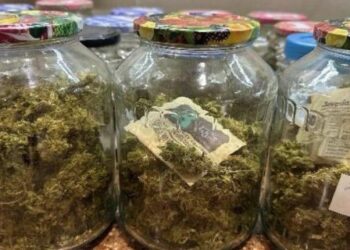 На Львівщині викрили міжнародний наркотрафік: звідки постачали контрабанду