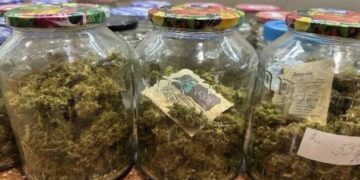 На Львівщині викрили міжнародний наркотрафік: звідки постачали контрабанду