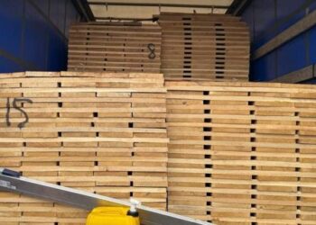 На Львівщині викрили спробу контрабанди деревини