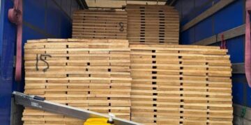 На Львівщині викрили спробу контрабанди деревини