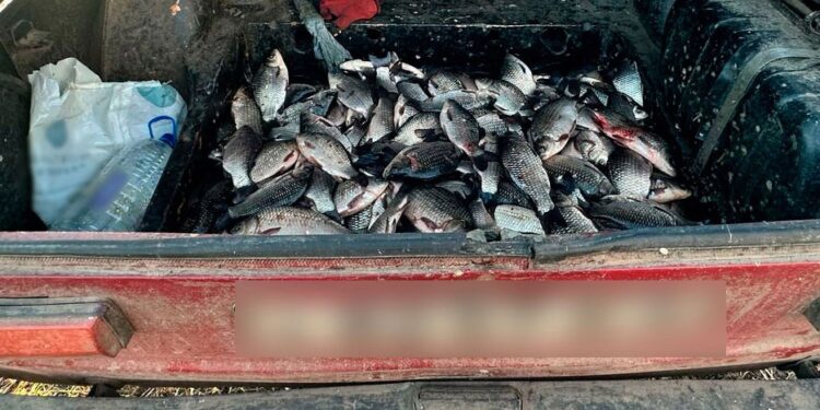 На Полтавщині викрили 25-річного браконьєра- ПОЛТАВА СЬОГОДНІ