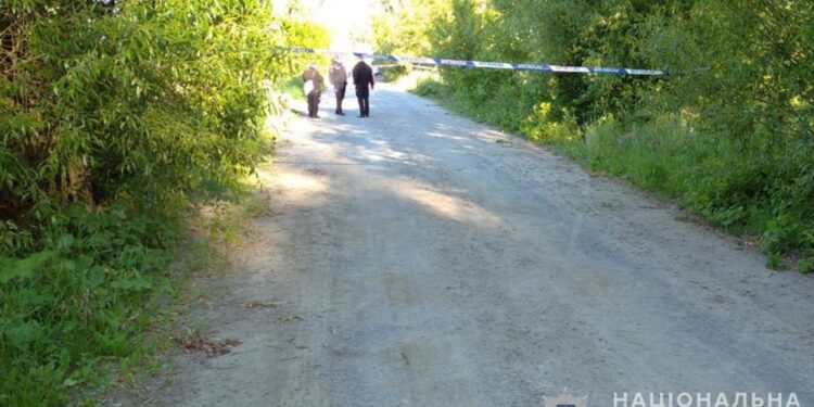 Нетверезому водію мопеда, який віз двох пасажирів і потрапив в смертельну ДТП, оголосили вирок | Журнал Житомира