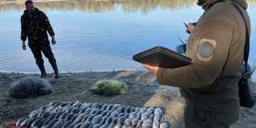 Поблизу Канева чоловік сітками наловив риби на майже 200 тисяч