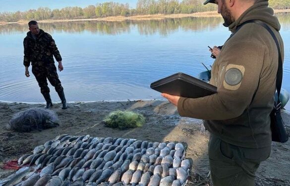 Поблизу Канева чоловік сітками наловив риби на майже 200 тисяч