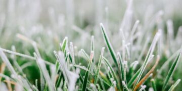 “Помаранчевий” рівень небезпечності: на Черкащині прогнозують заморозки