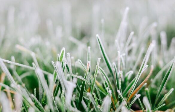 “Помаранчевий” рівень небезпечності: на Черкащині прогнозують заморозки