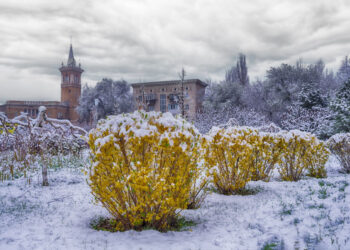 Прогноз погоди на 10 та 11 квітня у Запоріжжі – чого очікувати містянам у найближчі дні | Новости Запорожья