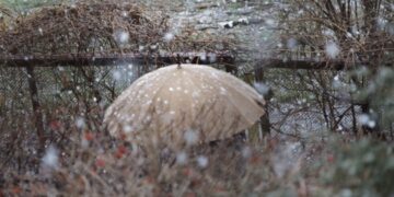 Прогноз погоди на 7, 8 та 9 квітня у Запоріжжі – чого очікувати містянам | Новости Запорожья