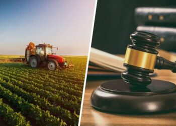 Протягом тижня в рамках проєкту «Земельний банк» відбулося 31 аукціон – Экономика