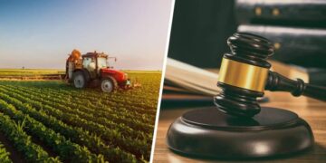 Протягом тижня в рамках проєкту «Земельний банк» відбулося 31 аукціон – Экономика