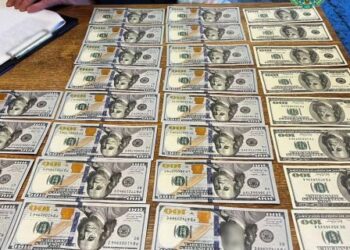 Шахрайство на 29 мільйонів: у Києві судитимуть псевдоаграріїв