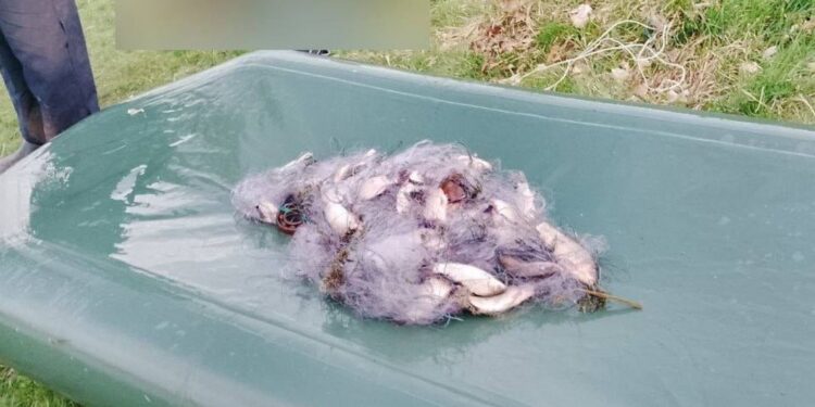 У громаді на Житомирщині виявили рибалку на човні із сітками: завдав збитків на майже 70 тис грн | Журнал Житомира