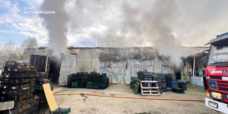 У Коростенському районі загорівся склад з декоративними рослинами | Журнал Житомира