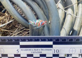 У Миколаєві поліцейські затримали підозрюваного у крадіжці кабелю » Миколаївський Оглядач
