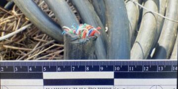 У Миколаєві поліцейські затримали підозрюваного у крадіжці кабелю » Миколаївський Оглядач