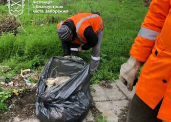 У Шевченківському районі Запоріжжя прибрали територію біля платформи – залізничники виконали вимоги інспекції з благоустрою  | Новости Запорожья