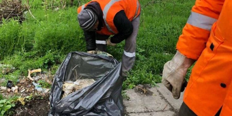 У Шевченківському районі Запоріжжя прибрали територію біля платформи – залізничники виконали вимоги інспекції з благоустрою | Новости Запорожья