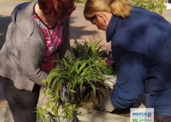 У сквері «Юність» висадили в кашпо нові квіти — Новости Черкасс