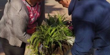 У сквері «Юність» висадили в кашпо нові квіти — Новости Черкасс