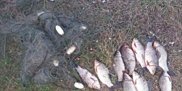 У Запорізькій області затримали бранконьєра – подробиці | Новости Запорожья