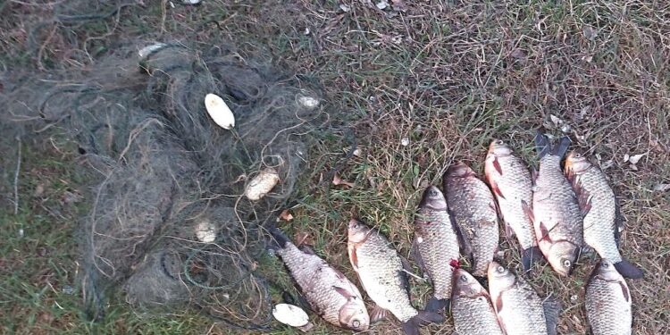 У Запорізькій області затримали бранконьєра – подробиці  | Новости Запорожья