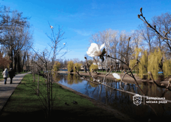 У запорізькому парку Дубовий гай встановлюють захисну огорожу навколо оглядового колеса – у чому причина | Новости Запорожья