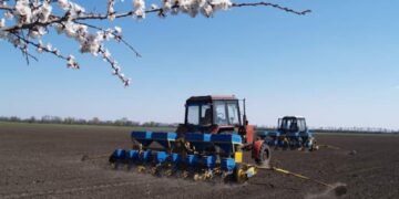 Весняна посівна: на Житомирщині вже посіяно 56,9 тис. га ранніх зернових та зернобобових | Журнал Житомира