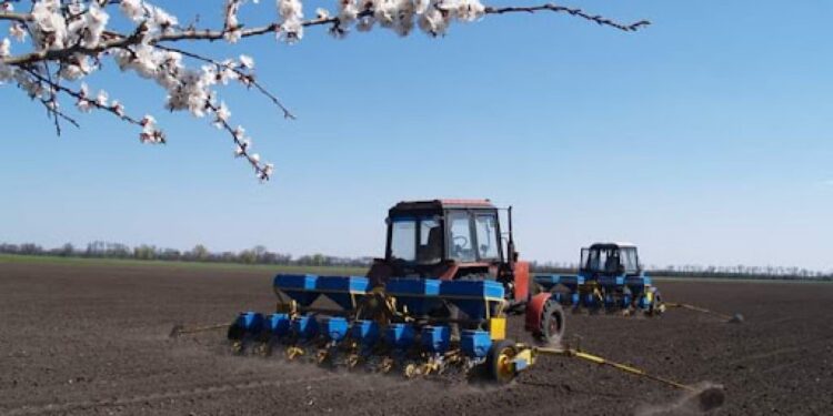 Весняна посівна: на Житомирщині вже посіяно 56,9 тис. га ранніх зернових та зернобобових | Журнал Житомира