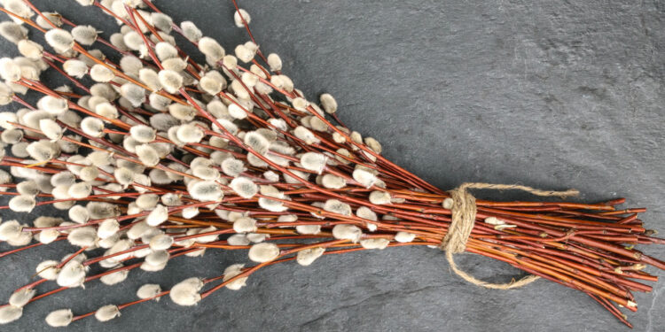 “Впустити Ісуса у душу та думки”, — священник з Івано-Франківська про значення Вербної неділі