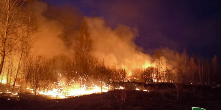 Замінований ліс допомагає врятувати полтавська команда