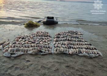 Збитки становлять понад 2 мільйони: на Черкащині затримали браконьєра