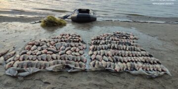 Збитки становлять понад 2 мільйони: на Черкащині затримали браконьєра