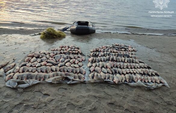 Збитки становлять понад 2 мільйони: на Черкащині затримали браконьєра
