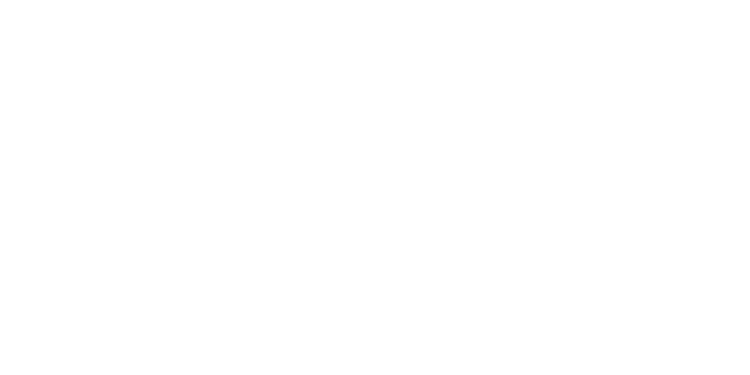 Пасічник з Вінниччини розповів як вплинула холодна весна на врожай меду – ЭКОНОМИКА