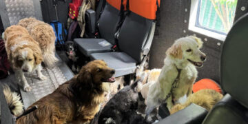 9 травня: як закінчився у Сумах і Сумській області робочий тиждень – Область – Сумские новости