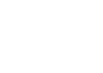 Збір дикорослих грибів, ягід та лікарських рослин у лісі: що варто знати перед початком сезону – ЭКОНОМИКА