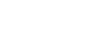 Збір дикорослих грибів, ягід та лікарських рослин у лісі: що варто знати перед початком сезону – ЭКОНОМИКА